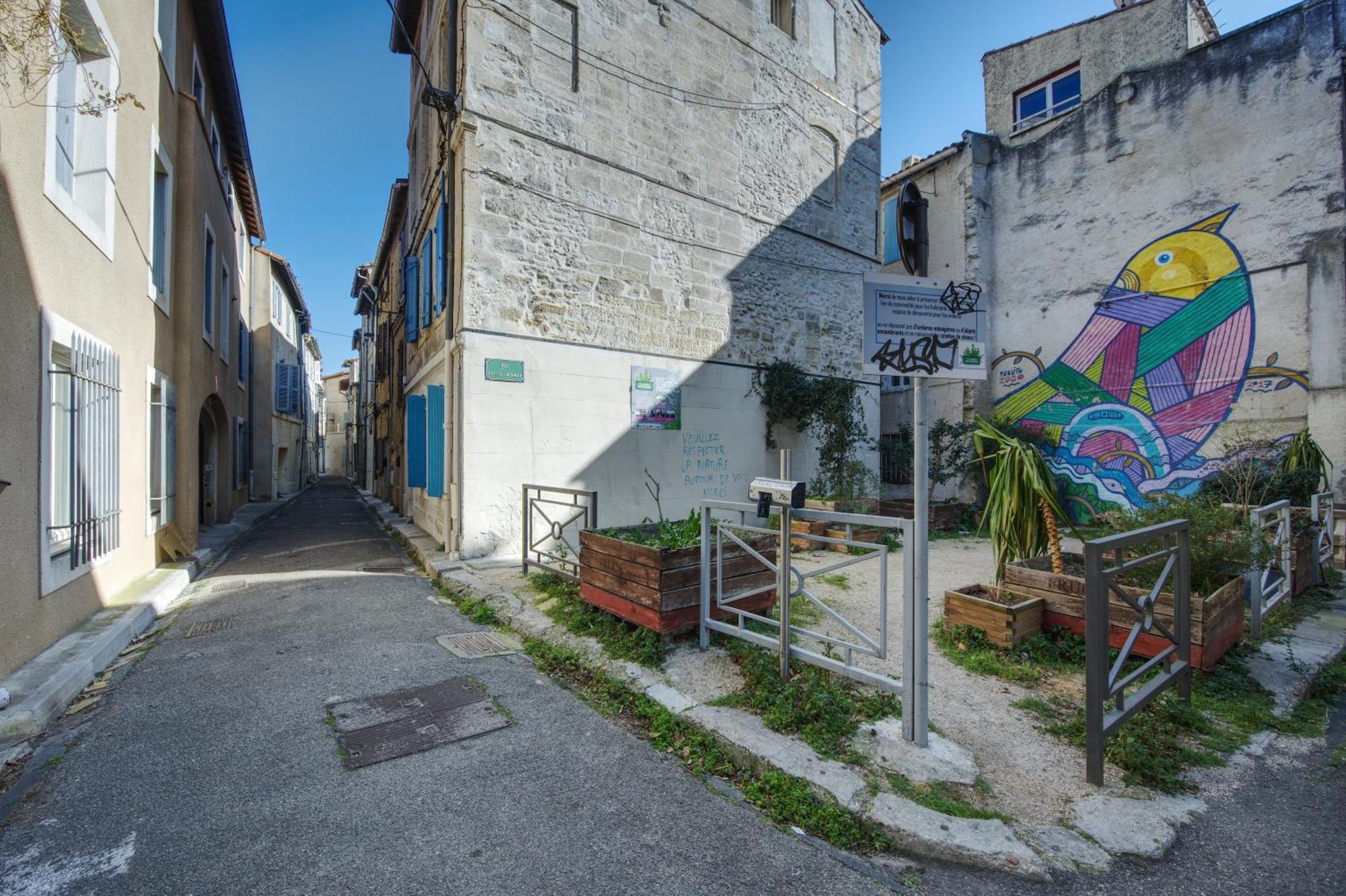 Appartement Cosy Avignon Centre-Ville Bagian luar foto
